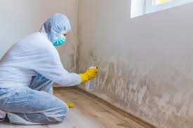 Best Water Damage & Mold Remediation  in Cary, IL